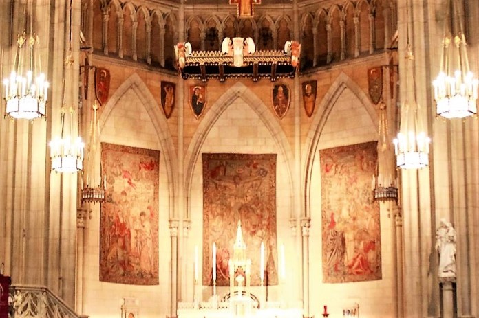 14054573_10154462651678841_6539531210037892739_o